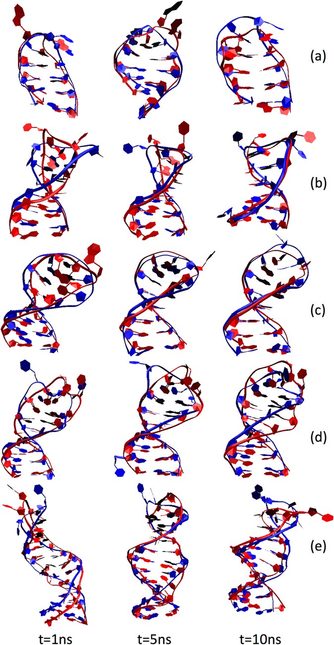 Threedimensional modeling of single stranded DNA hairpins for aptamer