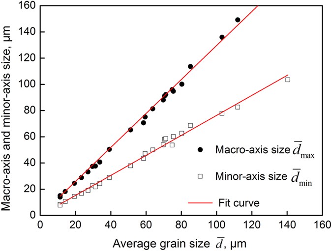 A new study on the growth behavior of austenite grains during heating ...