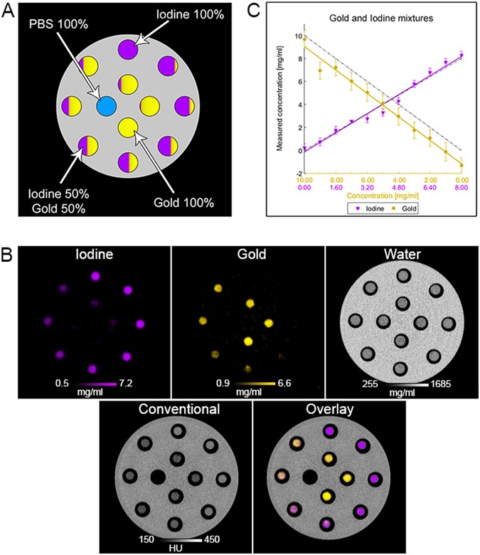 Multicolor spectral photon-counting computed tomography: in vivo dual ...