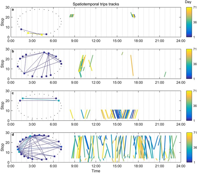 Partial Correlation between Spatial and Temporal Regularities of Human ...