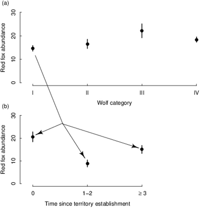 Fear or food – abundance of red fox in relation to occurrence of lynx ...