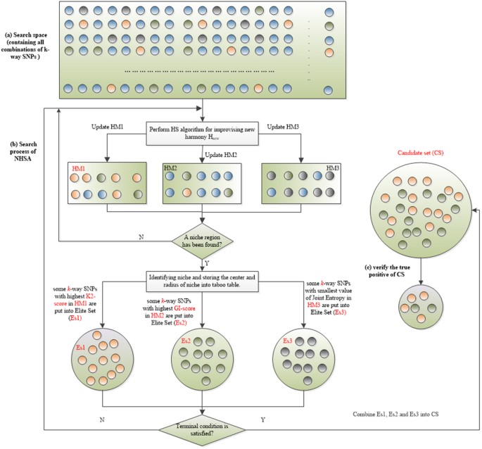 Niche harmony search algorithm for detecting complex disease associated ...