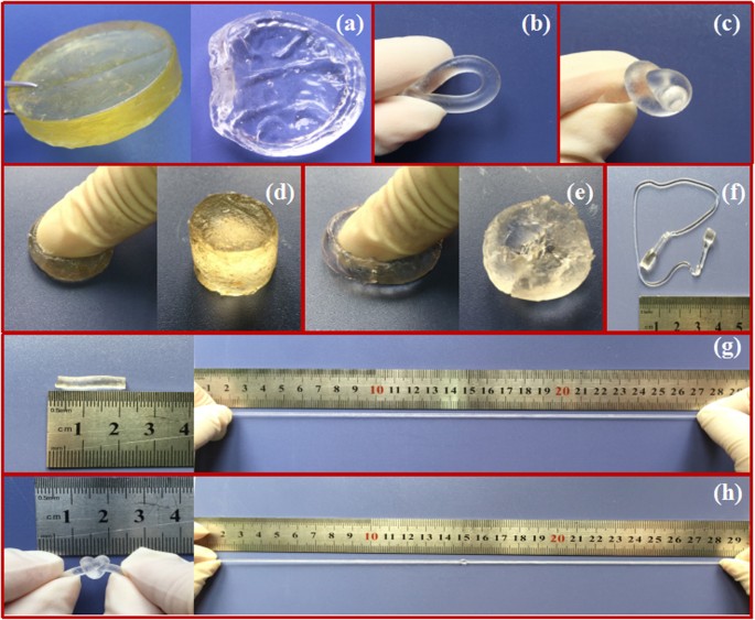 Three-dimensional Layered Water-Soluble Cellulose Acetate\/Polyacrylamide Composites with ...