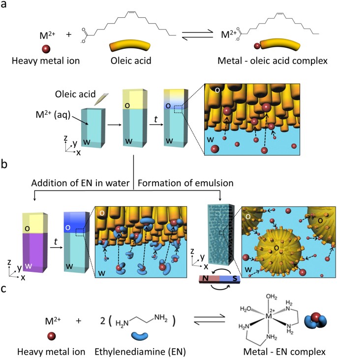 Spontaneous Phase Transfer