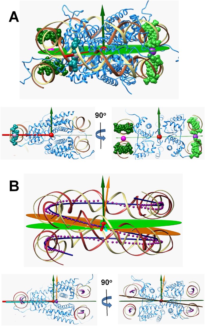 A systematic analysis of nucleosome core particle and nucleosome ...