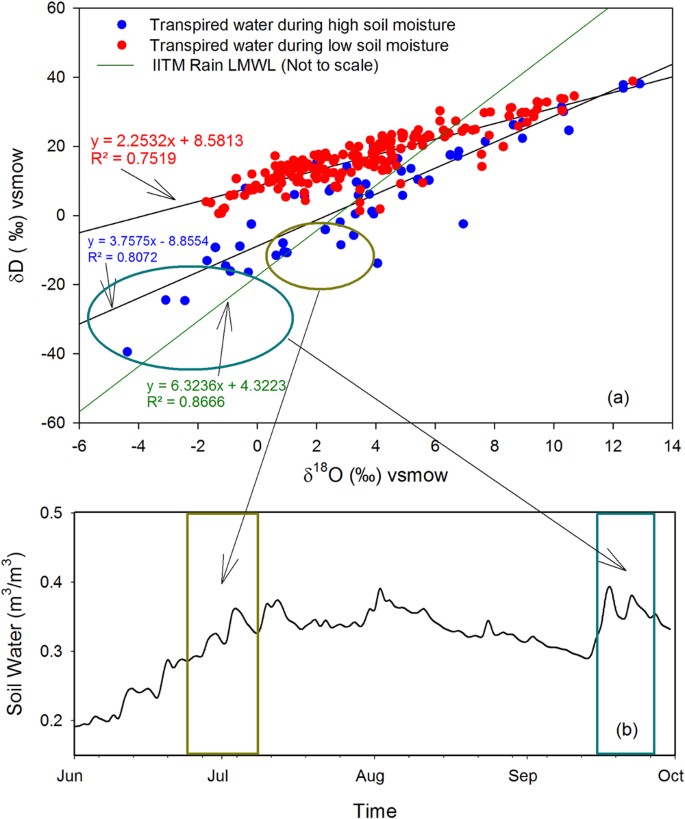 Isotopic study of intraseasonal variations of plant
