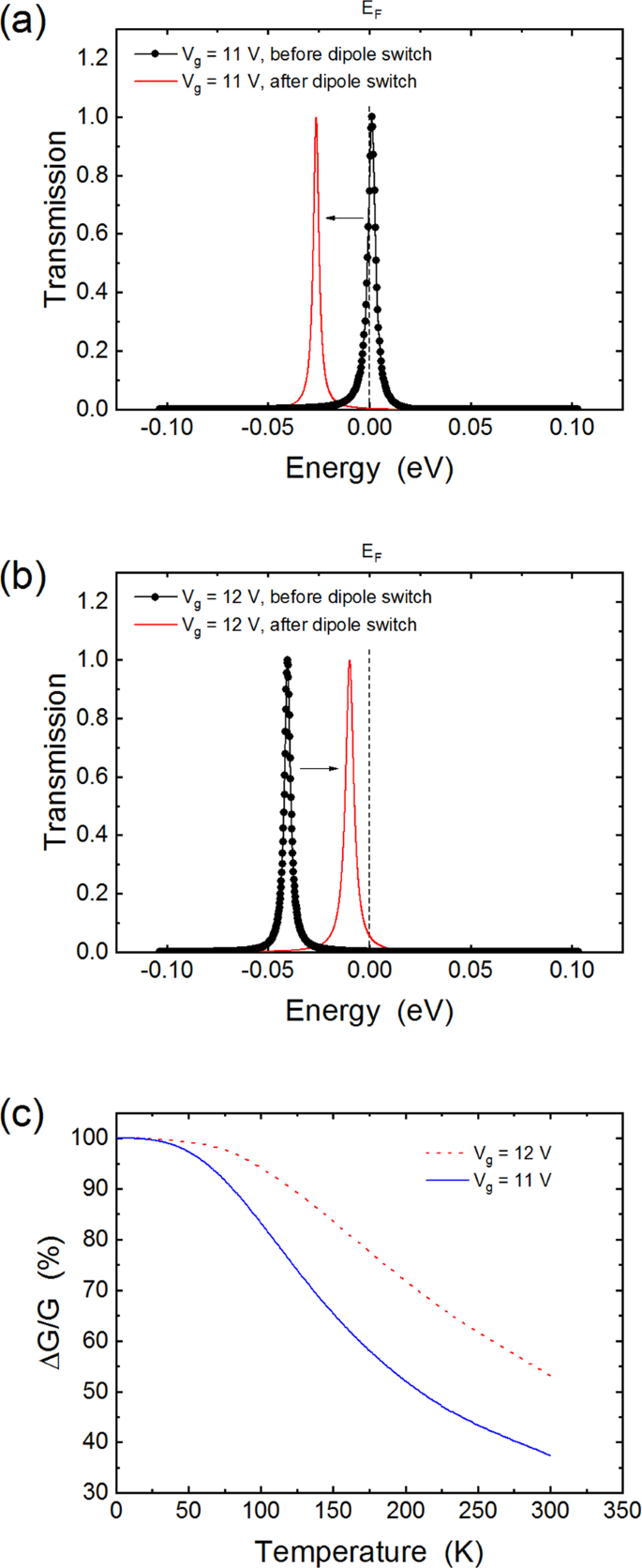 Prospects for Bioinspired Single-Photon Detection Using ...