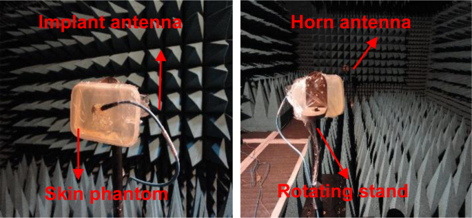 Ultra-Miniature Circularly Polarized CPW-Fed Implantable Antenna Design ...