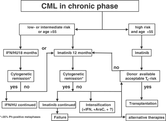 Current CML therapy progress and dilemma Leukemia