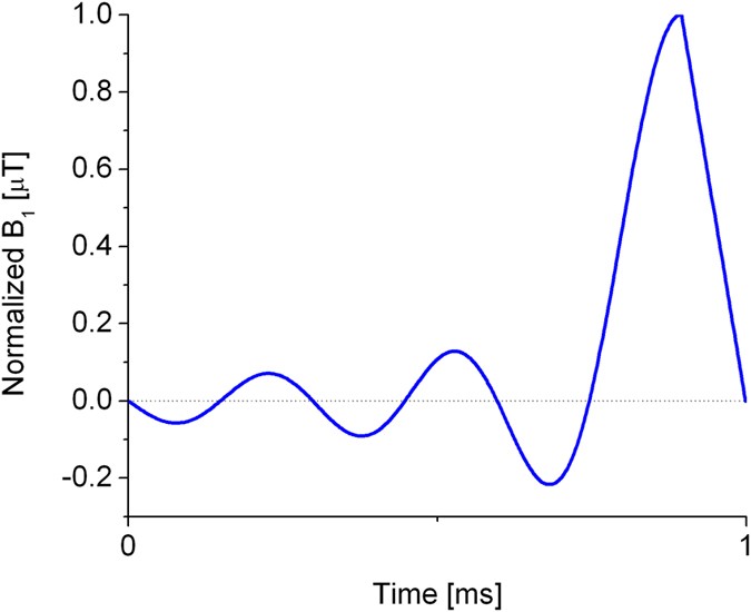 Fast Determination of Flip Angle and T 1 in Hyperpolarized Gas MRI ...