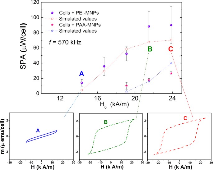 In Silico before In Vivo how to Predict the Heating Efficiency of