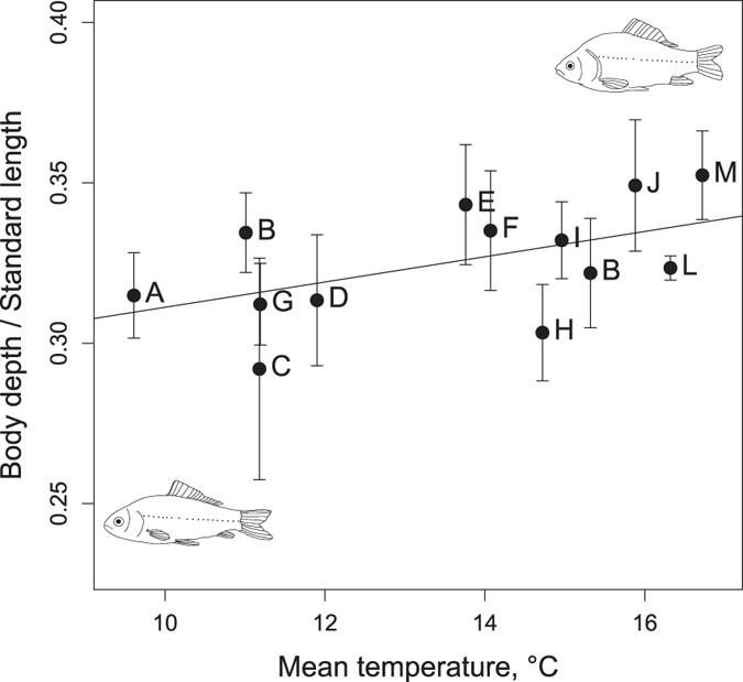 Allometric analysis of a morphological anti-predator trait in ...