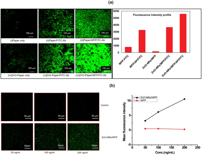 Thesis on fluorescence 08 image