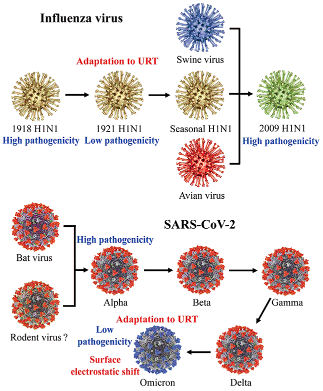 Comparative Perspective of Evolution of SARS-CoV-2 and 1918 Influenza ...