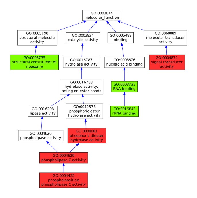 AIGO: Towards a unified framework for the Analysis and the Inter ...