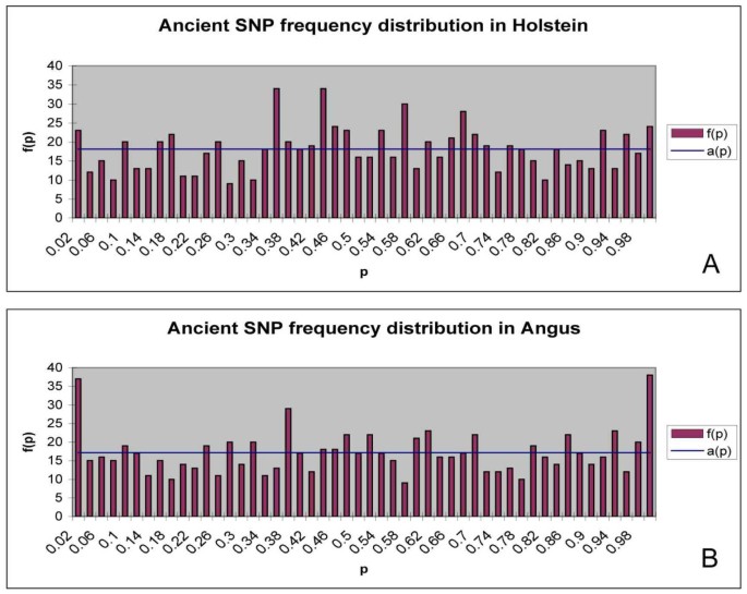 An examination of positive selection and changing effective population size in Angus and