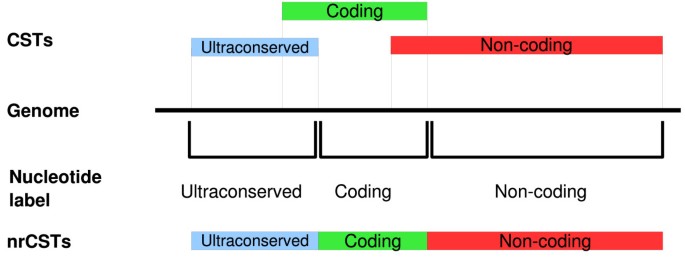 Genome-wide identification of coding and non-coding conserved sequence ...
