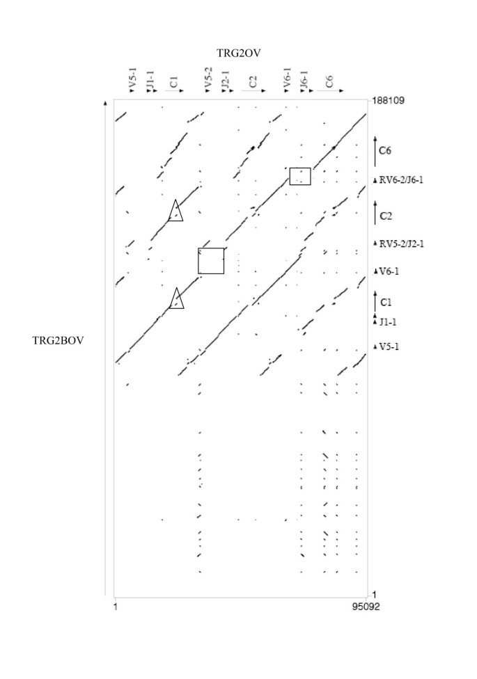 Genomic organization and unit duplicationdriven
