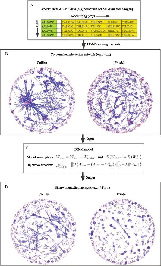 Identifying binary protein-protein interactions from affinity ...