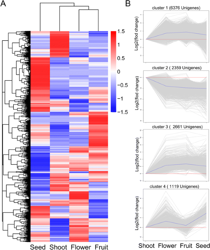 De novo assembly and transcriptome characterization of spruce dwarf