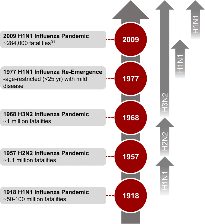 A year of terror and a century of reflection: perspectives on the great influenza pandemic of ...