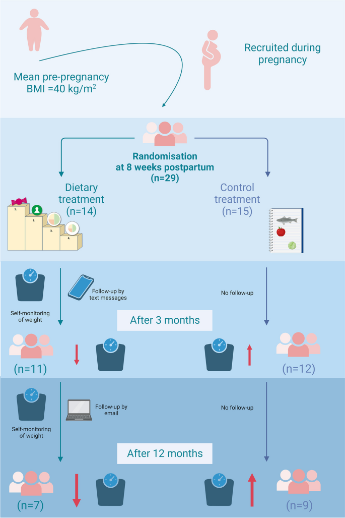 Dietary treatment postpartum in women with obesity reduces weight and