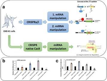 Abstracts from the 25th European Society for Animal Cell ...