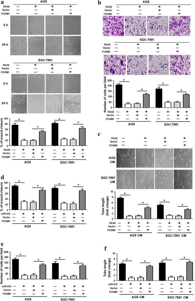 (PDF) Paired box 8 suppresses tumor angiogenesis and 