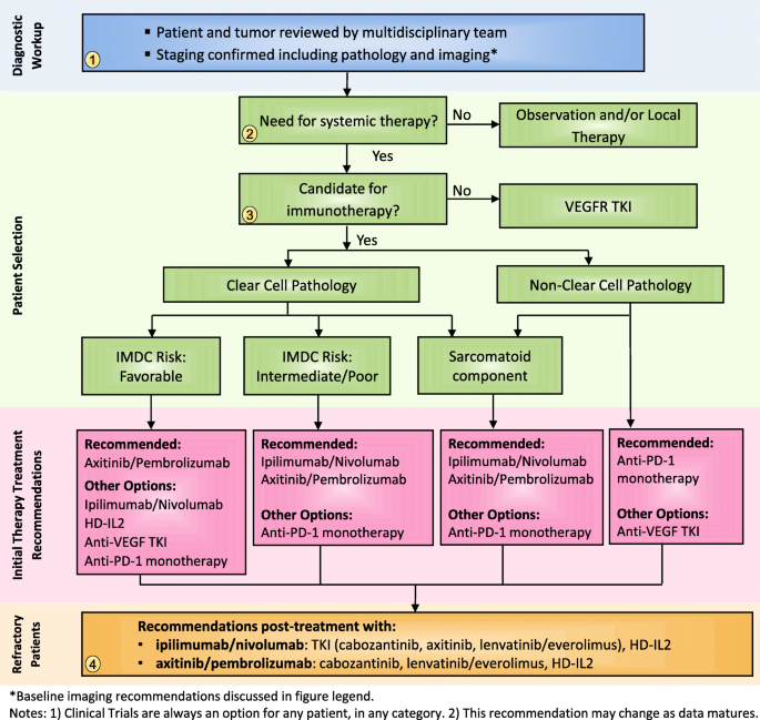 The Society for Immunotherapy of Cancer consensus