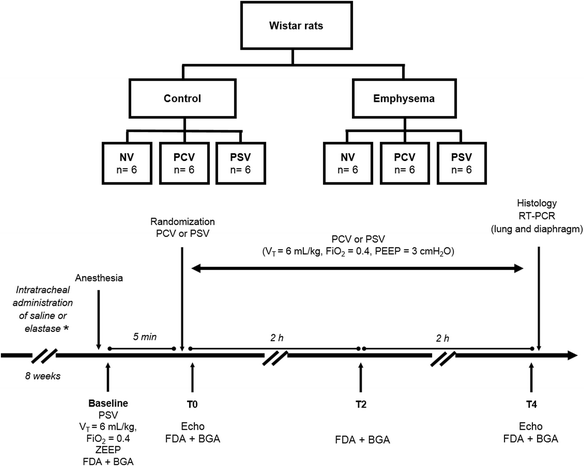 Quitting gabapentin cold turkey