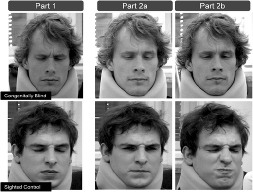 Involuntary facial expressions image