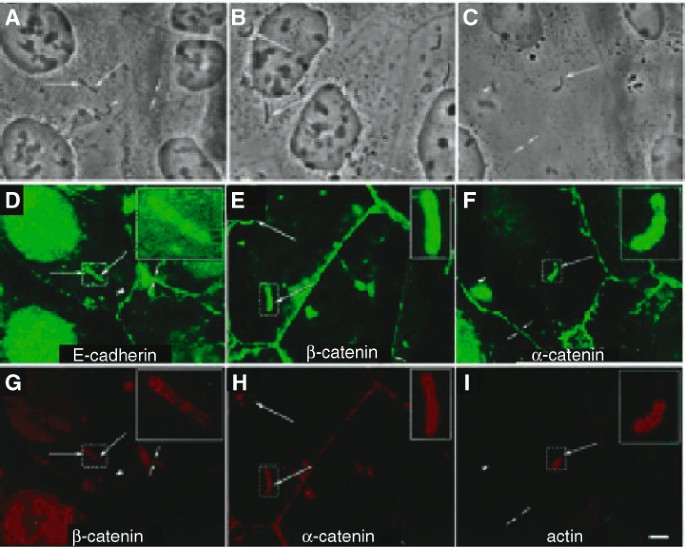 figure 22_0-387-30744-3_11