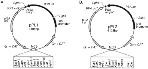 figure 7_0-387-30744-3_11