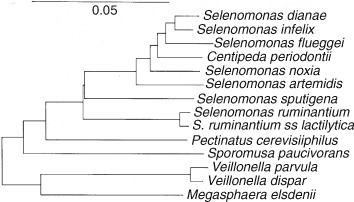 figure 1_0-387-30744-3_33