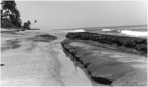 Beach Sand Ripples can be Fingerprints for Ancient Weather Conditions -  Research & Development World