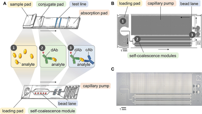 Lab-on-a-Chip Devices for Point-of-Care Medical Diagnostics | SpringerLink