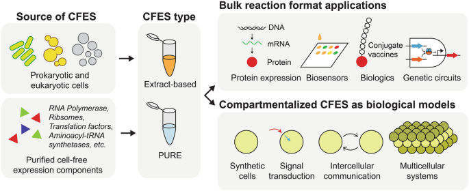 High-Throughput Regulatory Part Prototyping and Analysis by Cell-Free  Protein Synthesis and Droplet Microfluidics