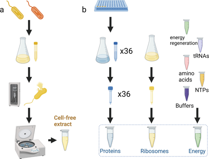 High-Throughput Regulatory Part Prototyping and Analysis by Cell-Free  Protein Synthesis and Droplet Microfluidics