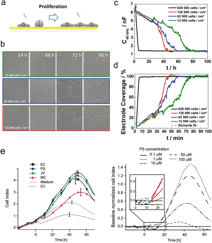 Impedance Based Assays Along The Life Span Of Adherent Mammalian Cells In Vitro From Initial Adhesion To Cell Death Springerlink