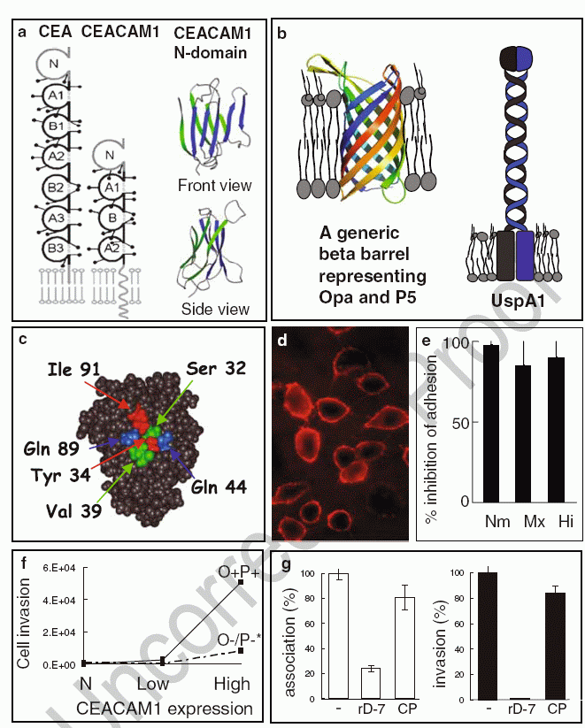 figure 3_15