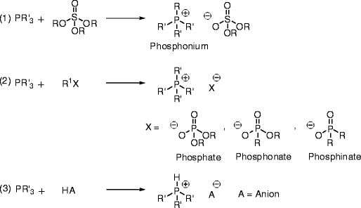 scheme 7_31