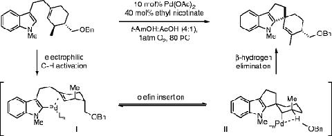 scheme 42