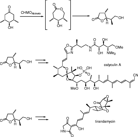 figure 25