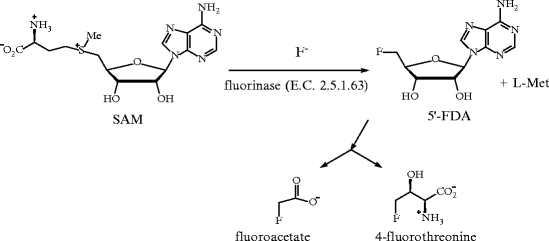 figure 1_270