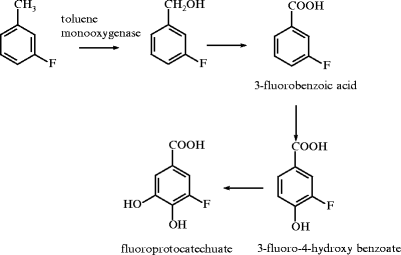 figure 9_270