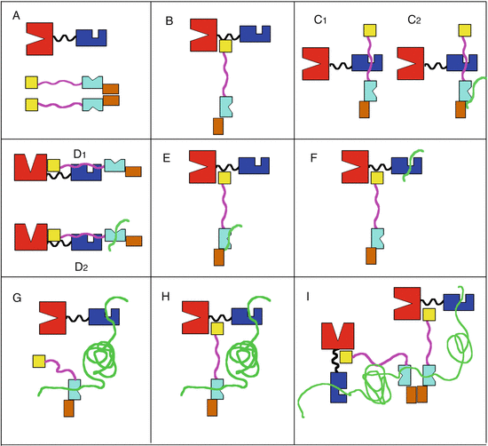 figure 18