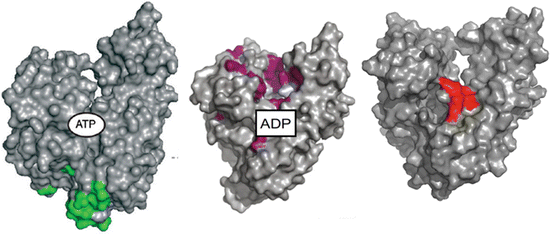 figure 23