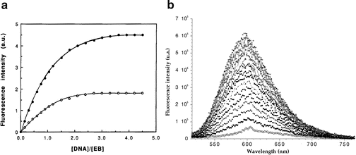 A) Fluorescence intensity of NMM at 608 nm in the presence of distinct