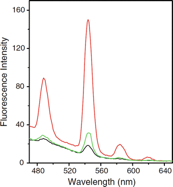 A) Fluorescence intensity of NMM at 608 nm in the presence of distinct