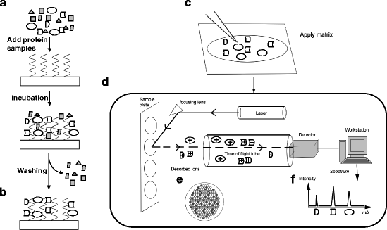 figure 04134